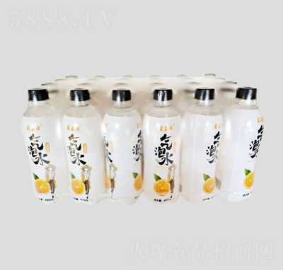 {ԴˮƿbˮL(fng)ζKˮˮ480ml24