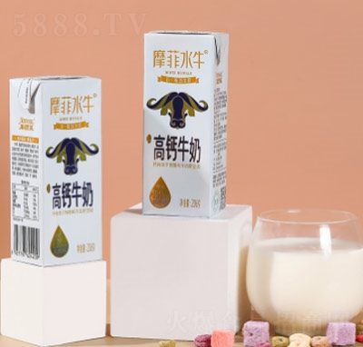 (li)˼Īˮţ}ţˮţ̺b206g