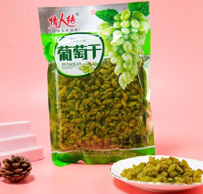 ˽YѸ288g