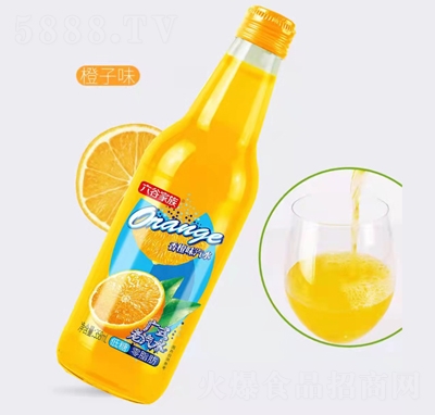 ȼζˮVʽˮ358ml̼ϾWtˮζ