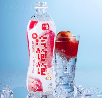 ٘Kˮζļ480ml