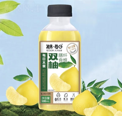 B(yng)ÿp֏ͺϹ֭500ml