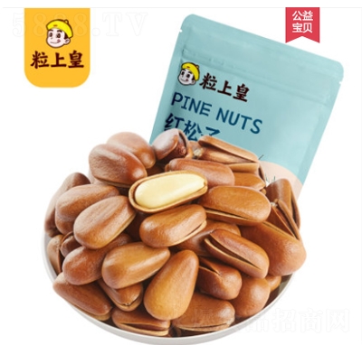 ϻʼtӖ|_քԭζʳخa(chn)Թ