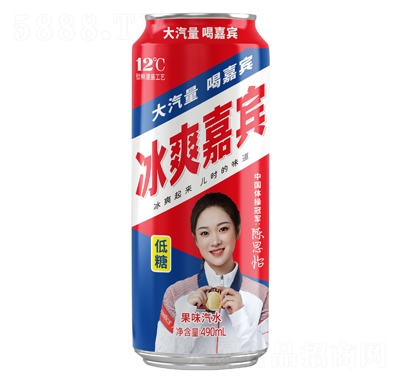 ٘(l)ˬeζˮ490ml
