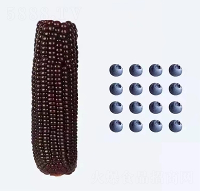 ʳƷʹּZ