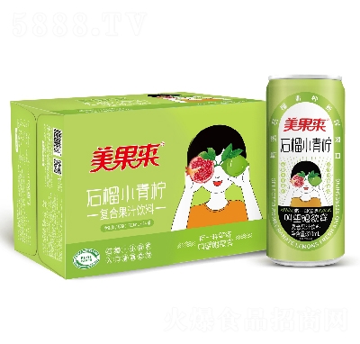 ʯСͺϹ֭310ml24