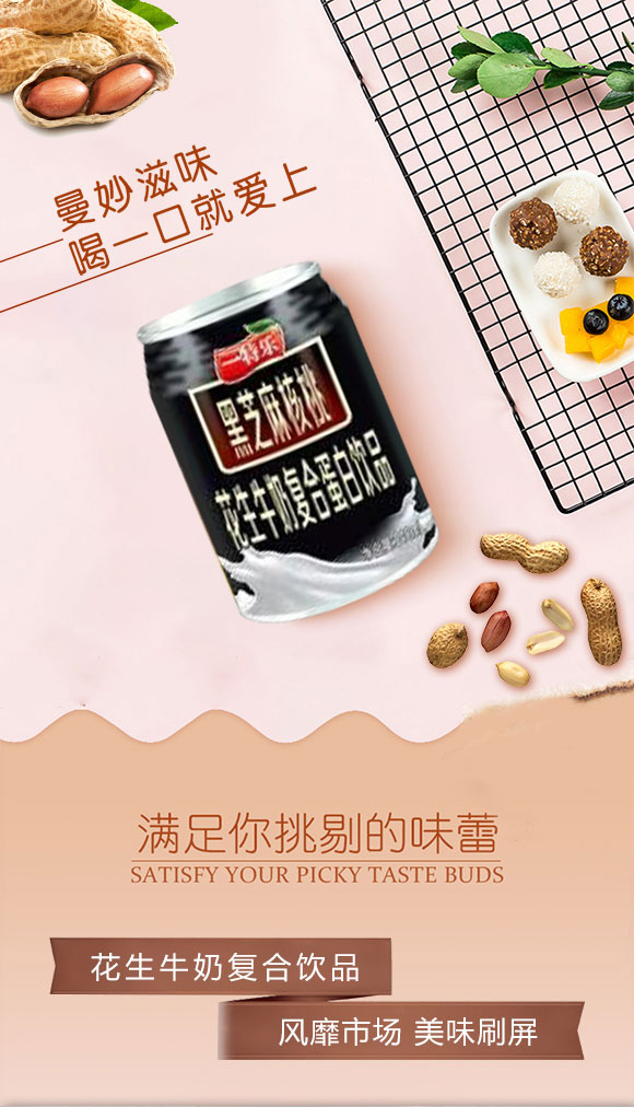 一特樂黑芝麻核桃復合蛋白飲料 一特樂黑芝麻核桃復合蛋白飲料