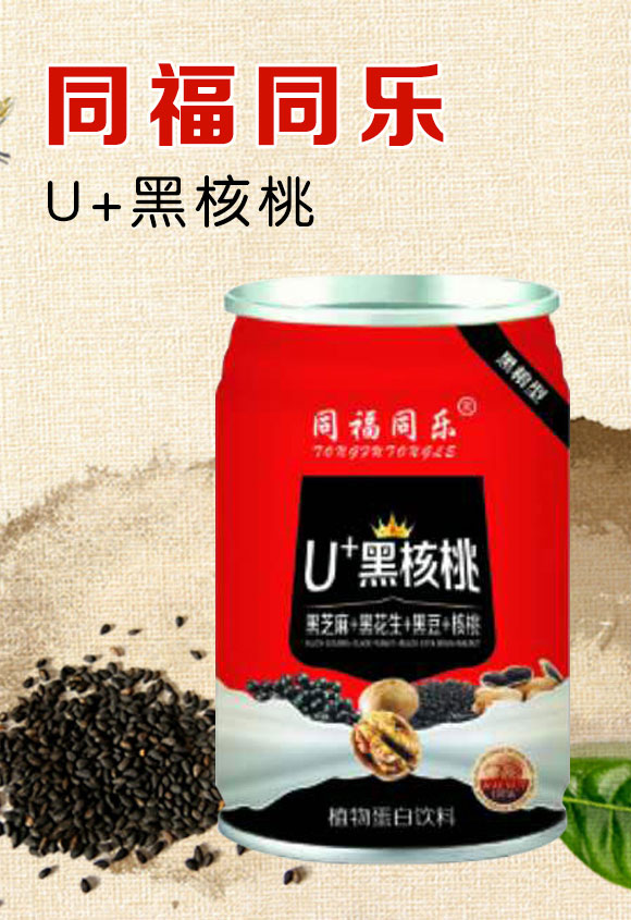 同福同樂(lè)黑核桃植物蛋白飲料 同福同樂(lè)黑核桃植物蛋白飲料