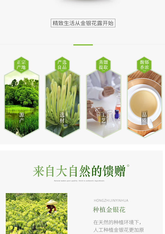 海南省威明食品有限公司-金銀花露_05 海南省威明食品有限公司-金銀花露_05