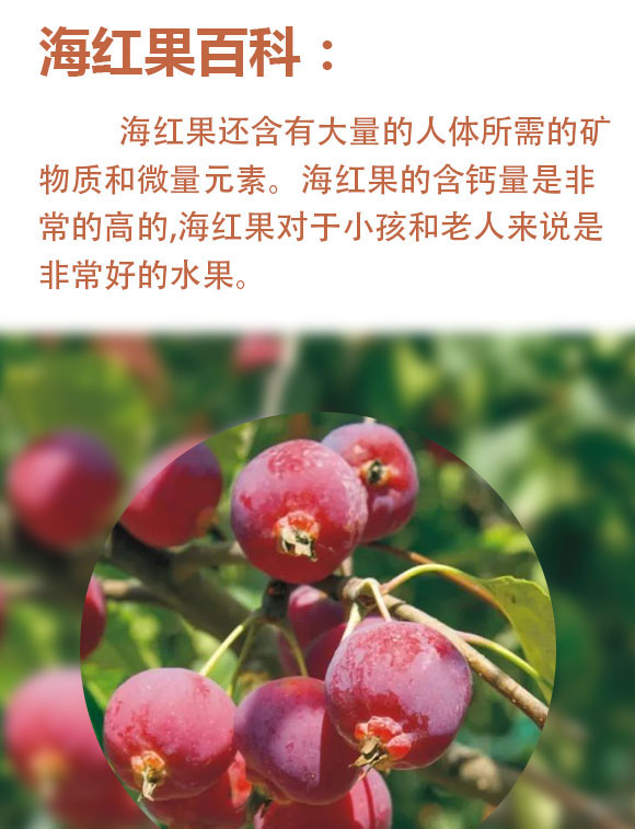 山西海紅樹(shù)食品有限公司-藍(lán)色易拉罐_02 山西海紅樹(shù)食品有限公司-藍(lán)色易拉罐_02