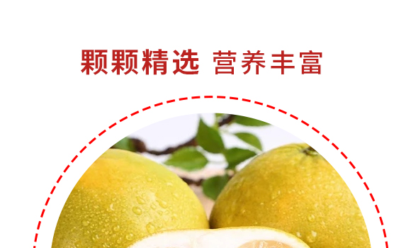 ֮ʳƷϺ޹˾---a(chn)Ʒp_05