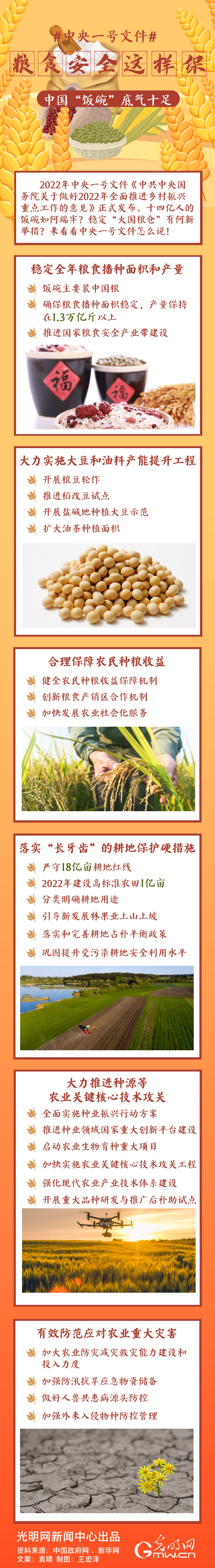 中央一號(hào)文件｜糧食安全這樣保，中國“飯碗”底氣十足