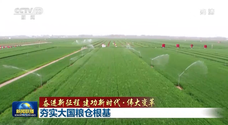 【奮進(jìn)新征程 建功新時代·偉大變革】夯實大國糧倉根基