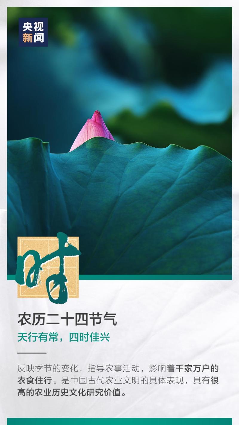 這也太浪漫了吧！