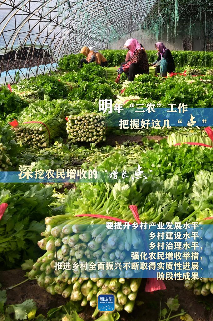 明年“三農(nóng)”工作，這幾個(gè)“點(diǎn)”要把握好