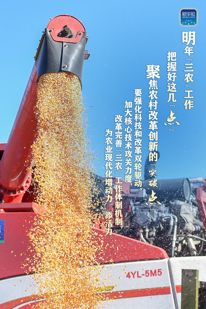 明年“三農(nóng)”工作，這幾個(gè)“點(diǎn)”要把握好