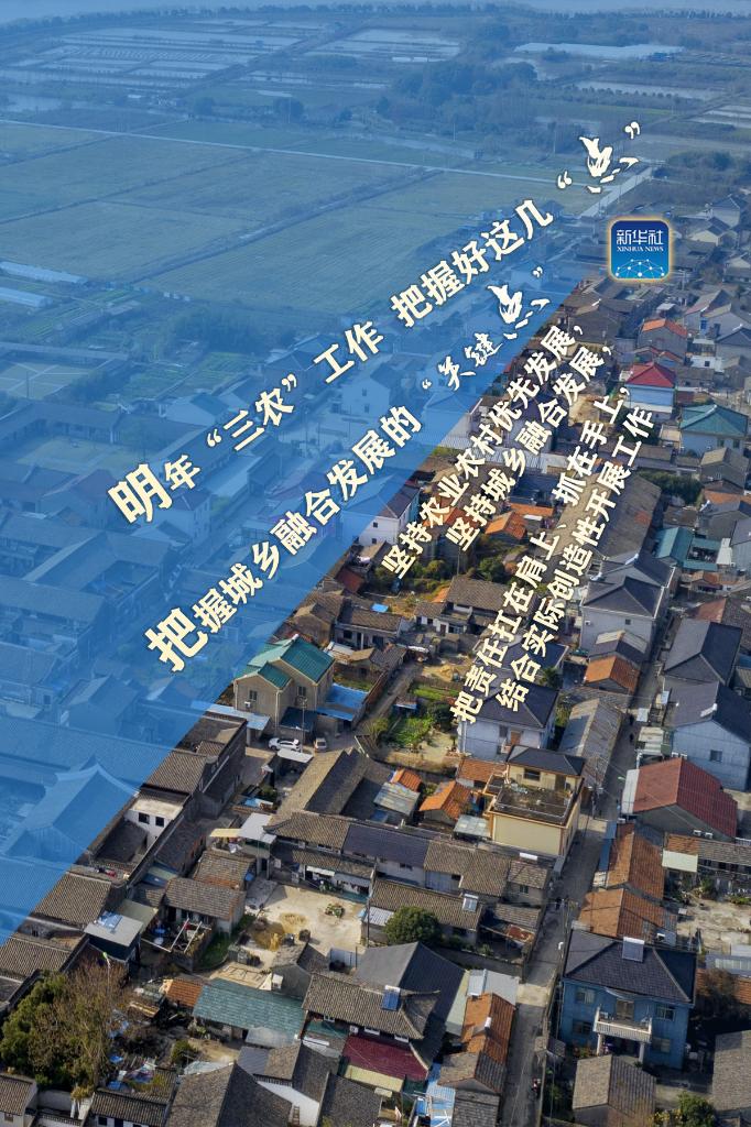 明年“三農(nóng)”工作，這幾個(gè)“點(diǎn)”要把握好