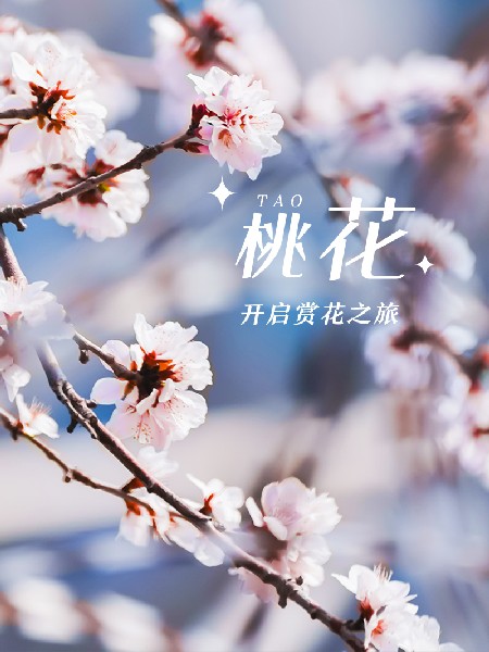 追花指南第三期！別等了 今天就去和桃花撞個滿懷