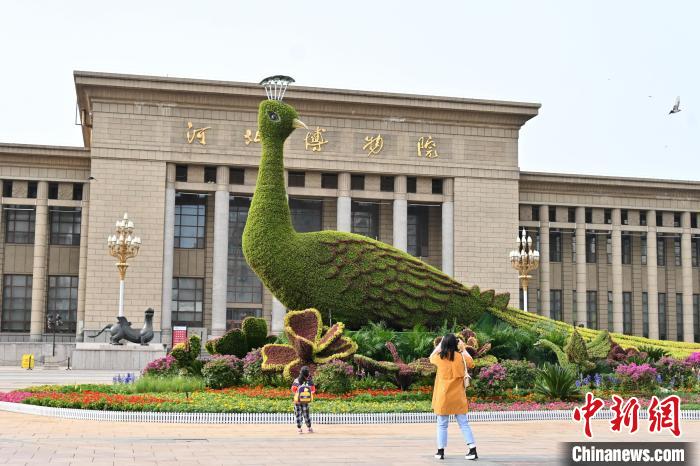 圖為游客在花壇前拍照打卡。　翟羽佳 攝