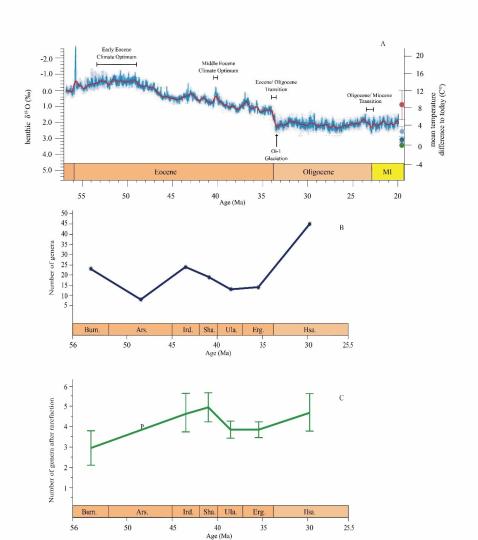 早始新世至早漸新世東亞嚙齒類屬級多樣性變化。　中科院古脊椎所 供圖