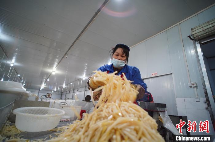 圖為一名工人正在處理切成條狀后的酸筍?！№f國政 攝