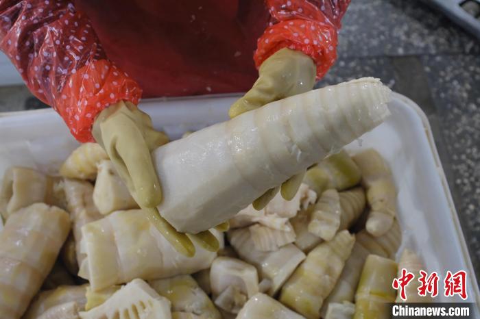 圖為整根腌制后撈出的酸筍?！⒖÷?攝