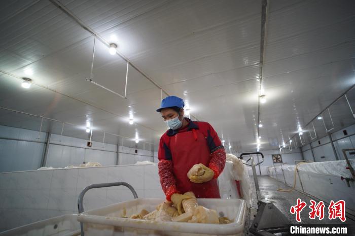 圖為一名工人正在查看酸筍腌制效果?！№f國政 攝