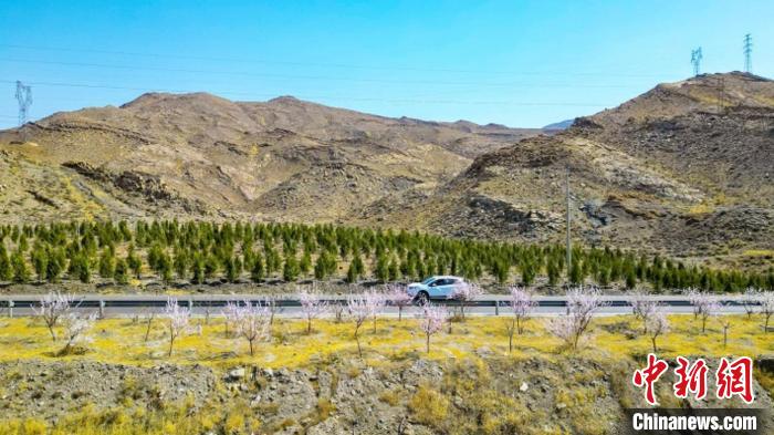生態(tài)修復(fù)后逐漸變綠的賀蘭山石嘴山段?！∈焐绞形麄鞑抗﹫D
