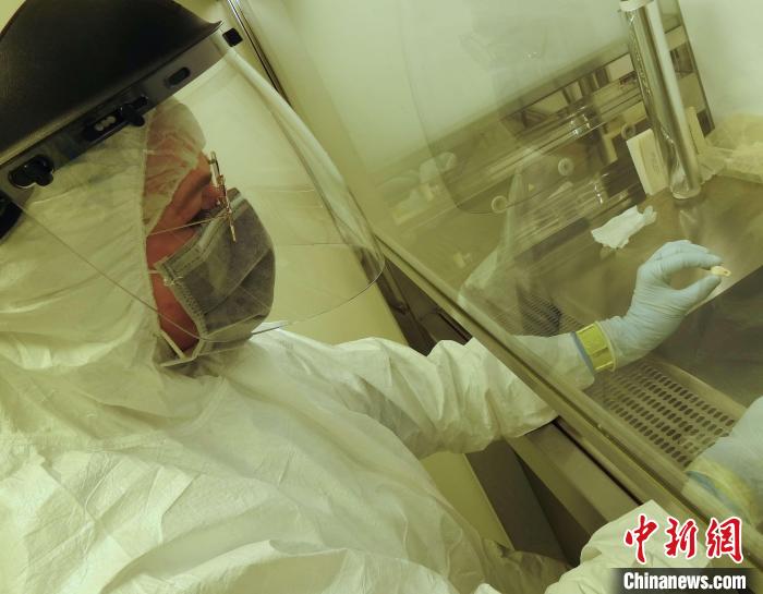 Elena Essel在凈室中處理鹿牙墜飾(圖片來自馬克斯·普朗克演化人類學(xué)研究所)。　施普林格·自然 供圖