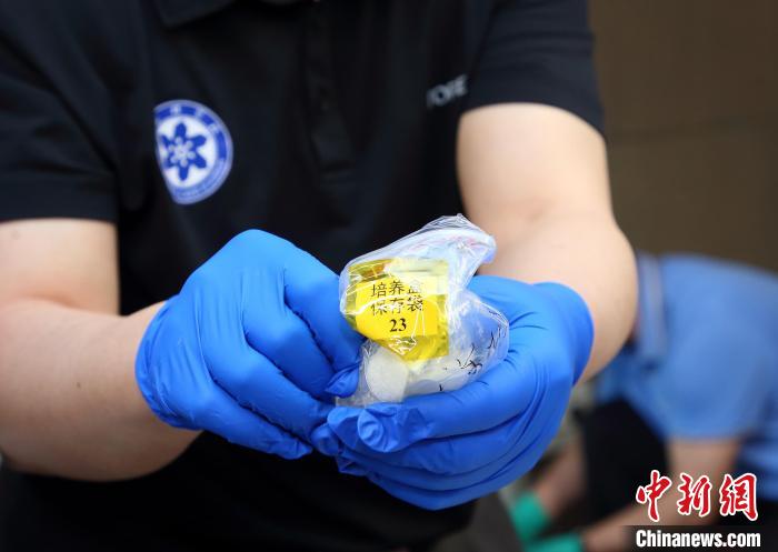 隨神舟十五號返回地面的空間科學實驗樣品?！≈锌圃嚎臻g應用中心 供圖