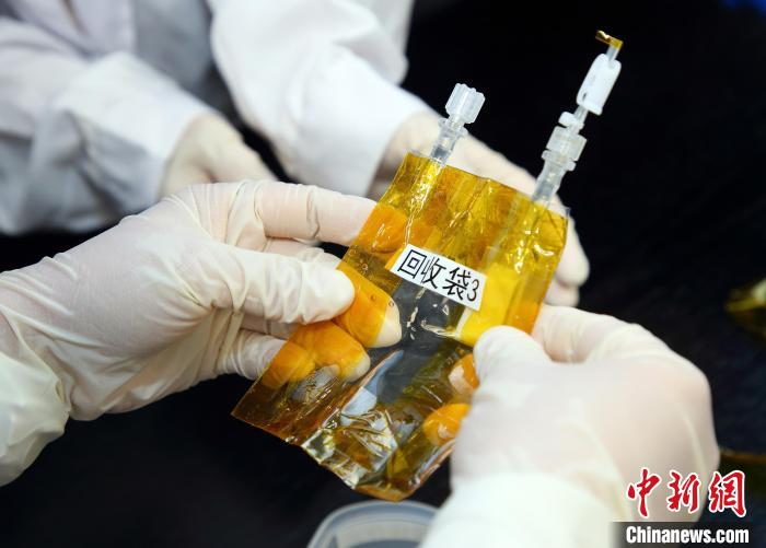 隨神舟十五號返回地面的空間科學實驗樣品?！≈锌圃嚎臻g應用中心 供圖