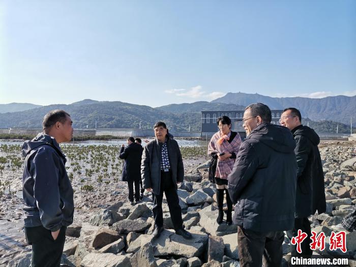 浙江海洋生態(tài)觀察：智慧大腦如何解鎖藍色發(fā)展密碼？