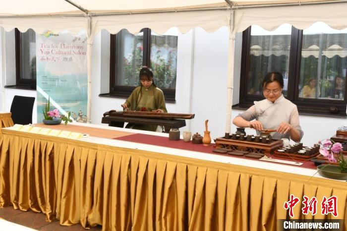 圖為余亞麗茶藝展示，王曉嬋古琴演奏 柏林中國文化中心供圖。