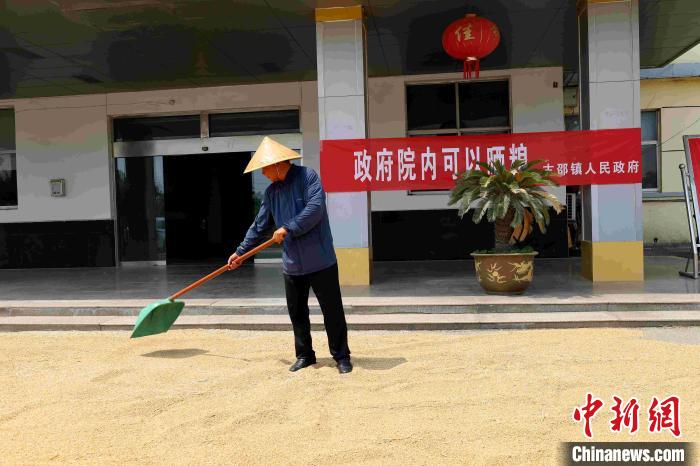 村民在棗莊市嶧城區(qū)古邵鎮(zhèn)政府大院內(nèi)晾曬糧食?！『?　攝