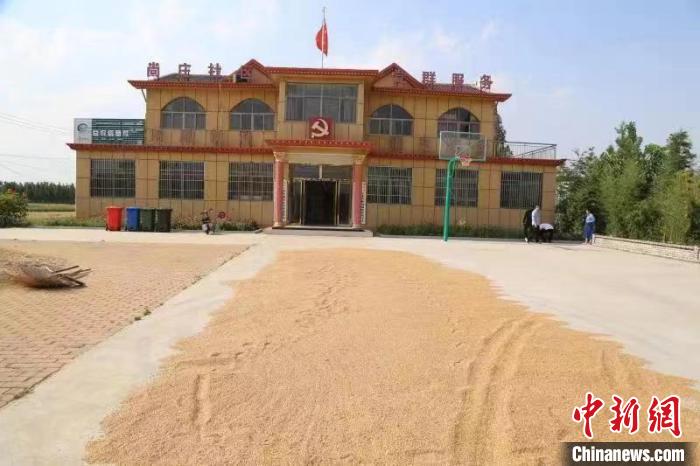 農(nóng)民在邳莊鎮(zhèn)尚莊村黨群服務(wù)中心大院里曬糧。　賈萌 攝