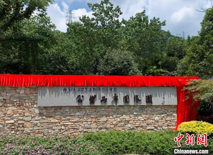 “公望兩岸圓緣園”開園?！」溻?攝