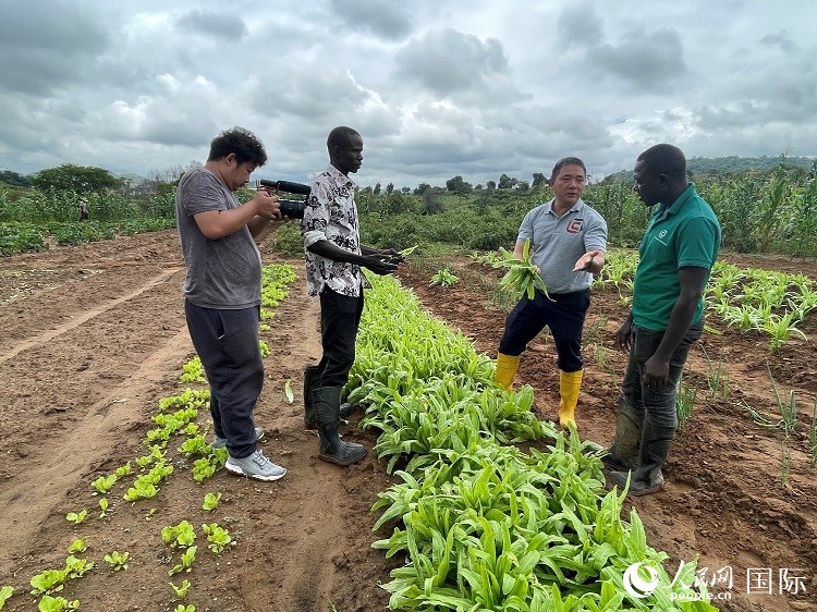 人民網(wǎng)記者走進尼日利亞農(nóng)業(yè)技術(shù)示范中心。人民網(wǎng)記者 趙艷紅攝