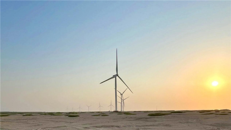 圖為阿聯(lián)酋風(fēng)電示范項(xiàng)目在阿布扎比薩爾巴尼亞斯島上的風(fēng)電場(chǎng)。 中國(guó)電建供圖
