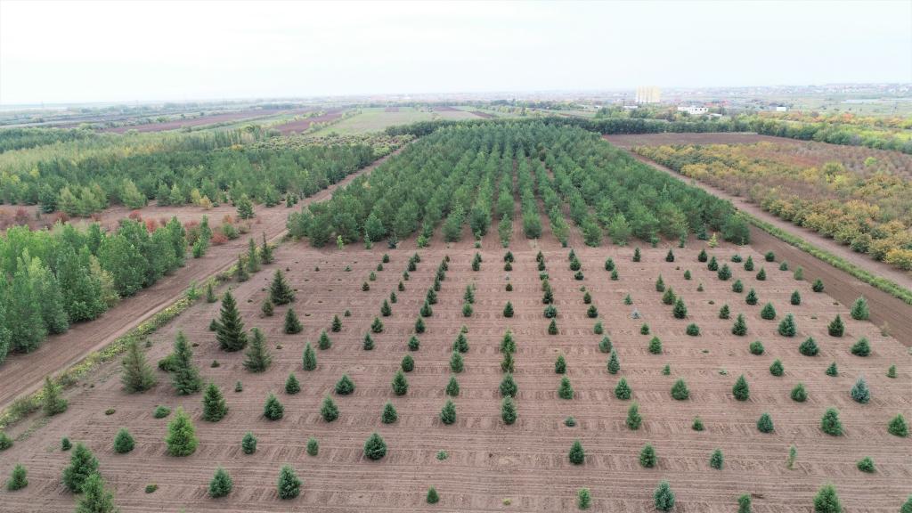 這是2023年9月11日在哈薩克斯坦首都阿斯塔納拍攝的一處植物種質(zhì)資源苗圃（無(wú)人機(jī)照片）。新華社發(fā)（法爾哈特·圖克諾夫 攝）