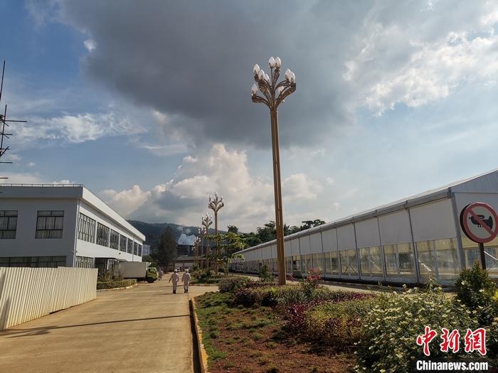 圖為園區(qū)生活區(qū)。 受訪者供圖