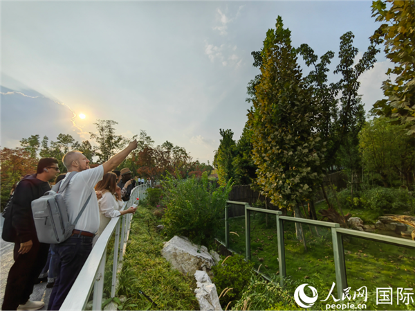 （“絲路獎(jiǎng)”獲獎(jiǎng)嘉賓在參觀成都大熊貓繁育研究基地。本報(bào)記者 王影迪攝）