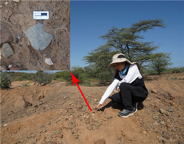 地層中的勒瓦婁哇石片。中肯聯(lián)合考古隊供圖