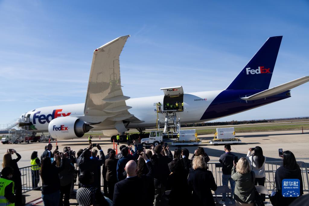 11月8日，在美國(guó)弗吉尼亞州的華盛頓杜勒斯國(guó)際機(jī)場(chǎng)，裝有大熊貓的特制“旅行包廂”準(zhǔn)備運(yùn)上專機(jī)。新華社記者劉杰攝