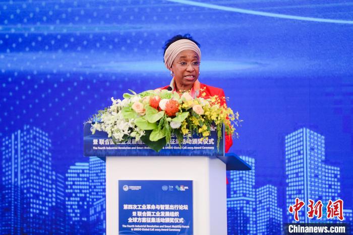 聯(lián)合國工業(yè)發(fā)展組織總干事代表兼執(zhí)行干事法圖 海達(dá)拉致辭。