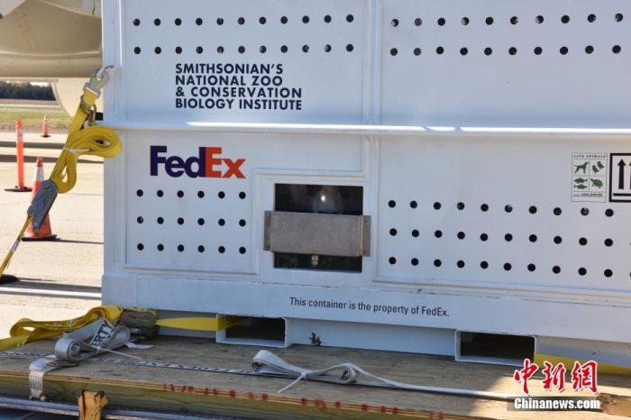 當(dāng)?shù)貢r(shí)間11月8日，美國(guó)華盛頓史密森學(xué)會(huì)國(guó)家動(dòng)物園的大熊貓“美香”“添添”和它們的幼崽“小奇跡”乘坐的專機(jī)從華盛頓杜勒斯國(guó)際機(jī)場(chǎng)起飛前往中國(guó)成都。圖為裝有大熊貓的特制“旅行箱”。<a target='_blank' href='/'><p  align=