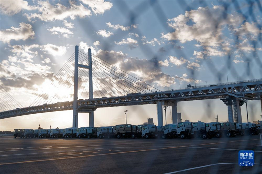 這是11月14日在日本橫濱拍攝的進出口汽車集散場地。新華社記者 張笑宇 攝
