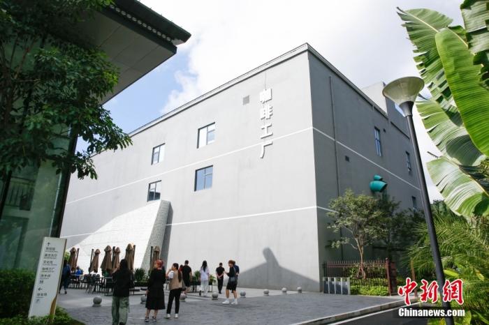 圖為采訪團(tuán)一行參觀咖啡工廠。 曹淼欣 攝