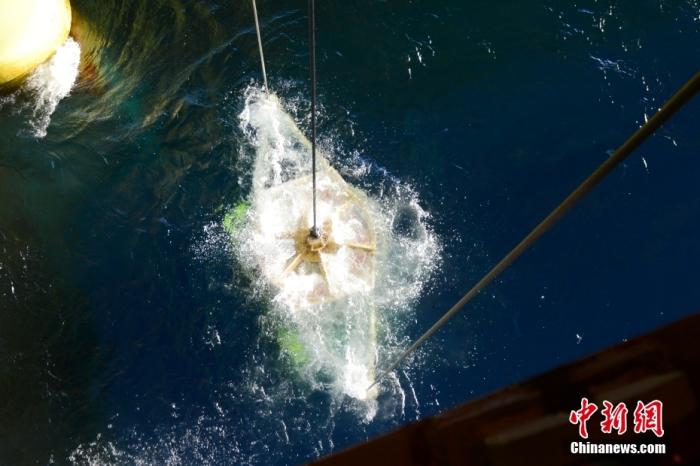 機器人入水瞬間。<a target='_blank' href='/' _fcksavedurl='/' ><p  align=