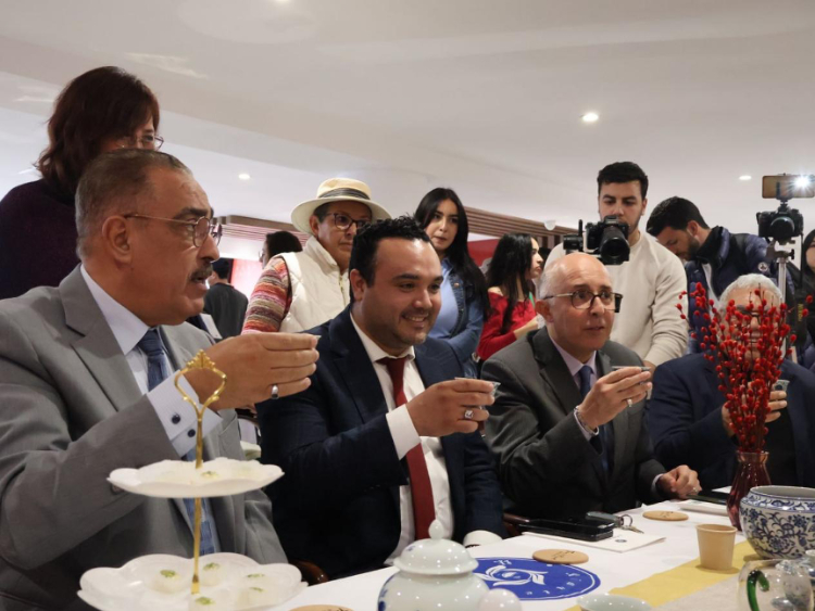 觀眾興致勃勃地體驗(yàn)茶藝。陳芷珊攝