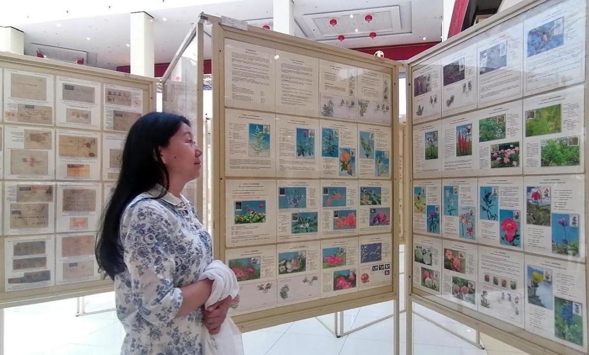 藥用植物極限片展覽場(chǎng)景。第七屆阿聯(lián)酋集郵展主辦方供圖